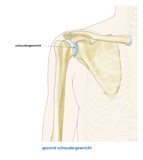 Gezond-Schoudergewricht